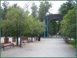 Kurpromenade durch den Kurpark von Bad Kudowa