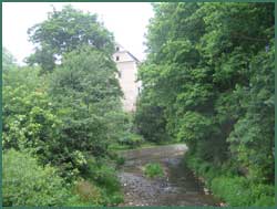 Die Walditz in Scharfeneck
